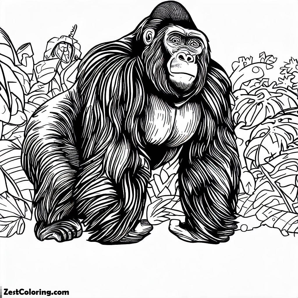 Rainforest, Gorilla Rainforest Animal Coloring Page: Gorilla Rainforest Animal Coloring PageFull Size Image