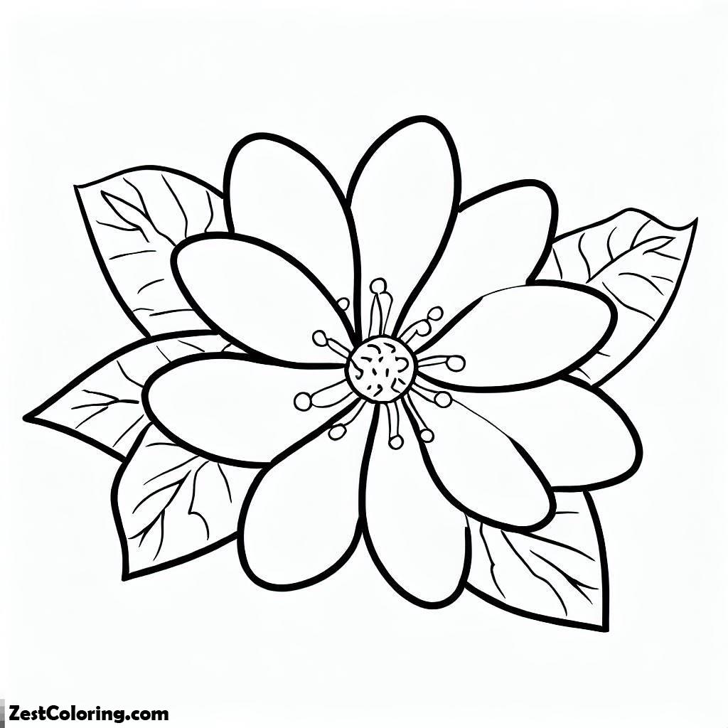Spring, Spring Flower On Springtime Coloring Page: Spring Flower On Springtime Coloring PageFull Size Image