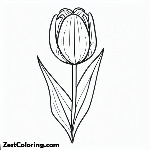 Tulip Flower Coloring Page : Coloring for Kids – Smart, Creative, and Fun