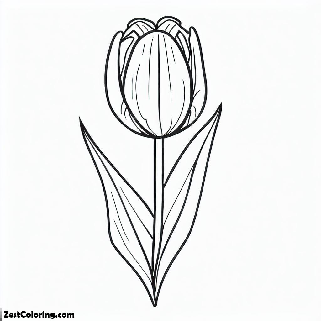 Flowers, Tulip Flower Coloring Page: Tulip Flower Coloring PageFull Size Image