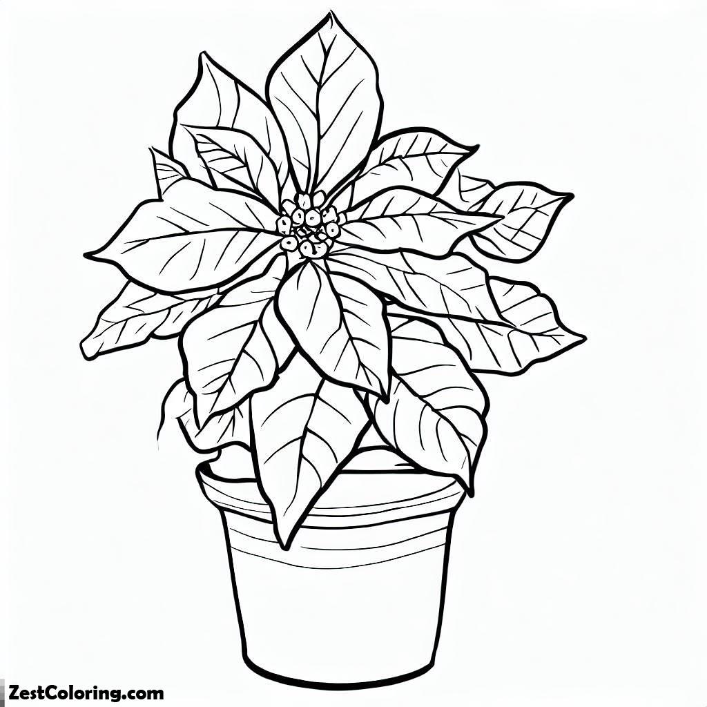 Poinsettia Flower Coloring Page – Fun Printable Art for All Ages