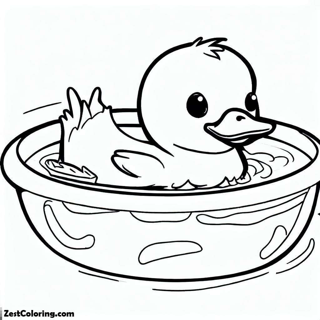 Duckling Swimming In Bowl Coloring Page Coloring for Kids Smart