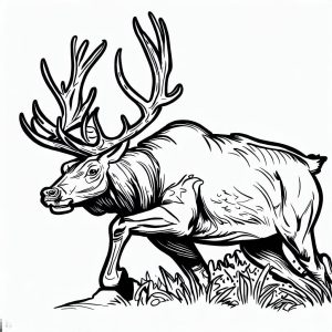 Wildlife Elk Coloring Pages : Coloring for Kids – Smart, Creative, and Fun