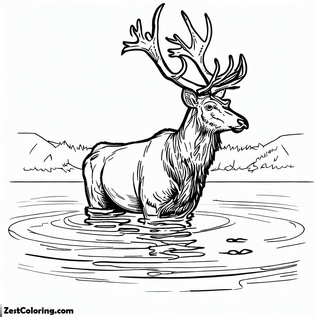 Elk, Elk In Shallow Lake Coloring Pages: Elk In Shallow Lake Coloring PagesFull Size Image