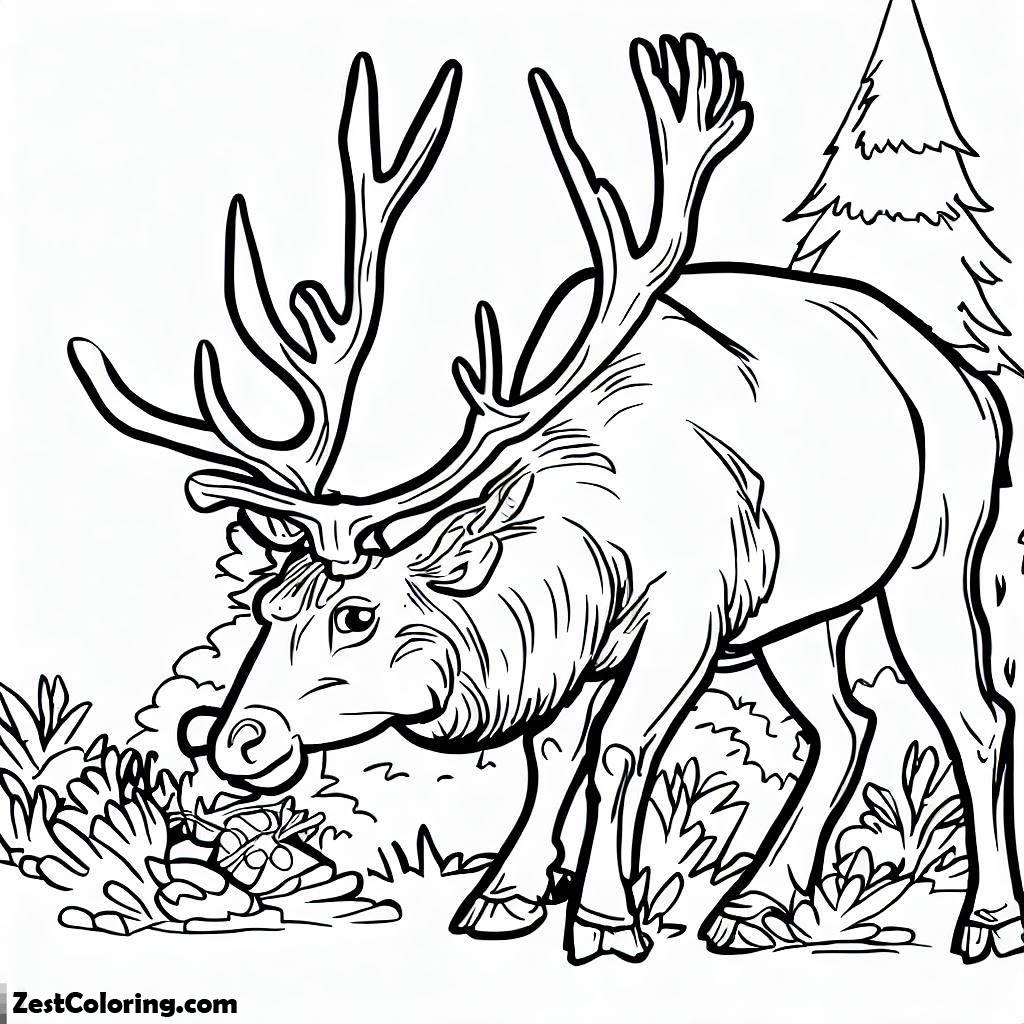Elk, Elk Looking For Food In Forest Coloring Pages: Elk Looking For Food In Forest Coloring PagesFull Size Image