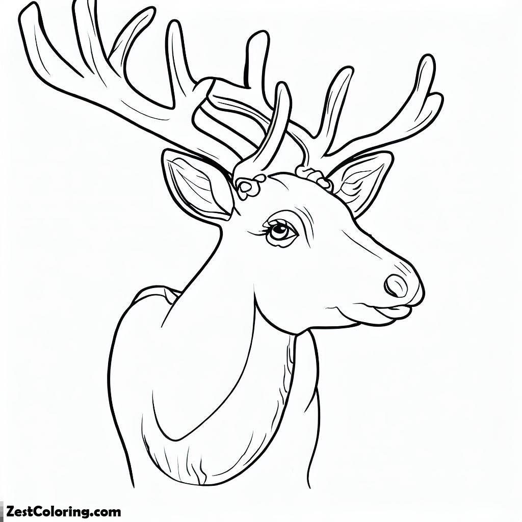 Elk, Female Elk Coloring Pages: Female Elk Coloring PagesFull Size Image