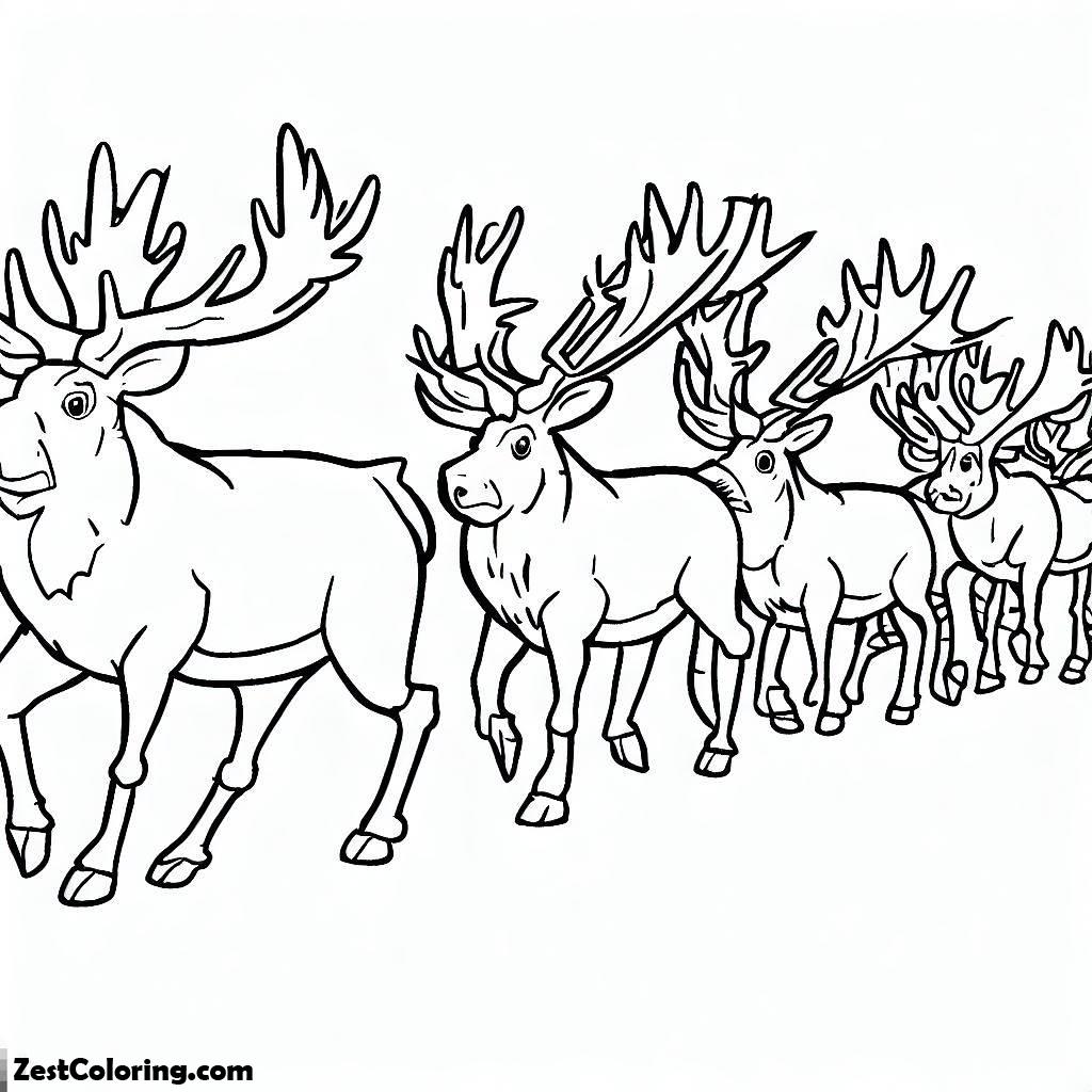 Elk, Many Of Elk Walking To Find The Others Coloring Pages: Many Of Elk Walking To Find The Others Coloring PagesFull Size Image