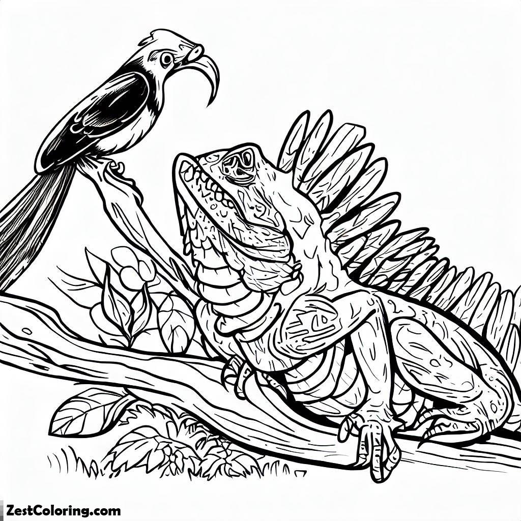 Iguana, Bird And Iguana Coloring Page: Bird And Iguana Coloring PageFull Size Image