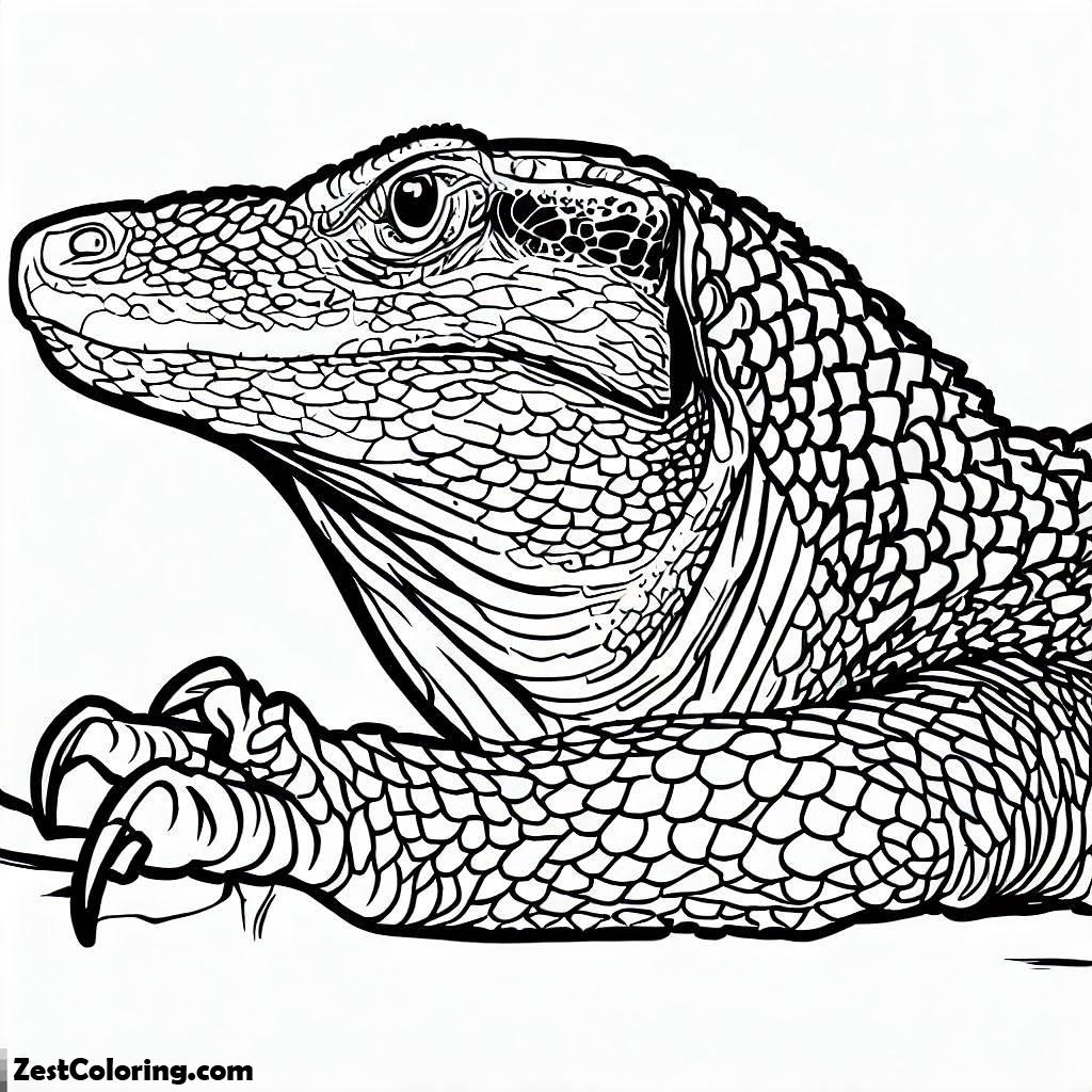 Komodo Dragon, Komodo Dragon Watch Carefully Coloring Pages: Komodo Dragon Watch Carefully Coloring PagesFull Size Image