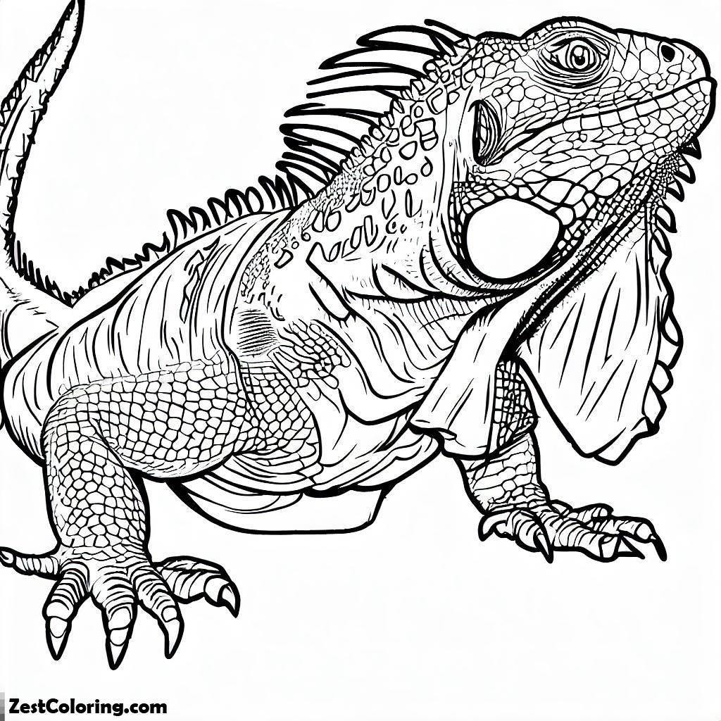 Iguana, Large Male Dominant Iguana Coloring Page: Large Male Dominant Iguana Coloring PageFull Size Image