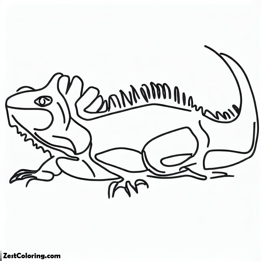 Iguana, Simple Line Iguana Coloring Page: Simple Line Iguana Coloring PageFull Size Image