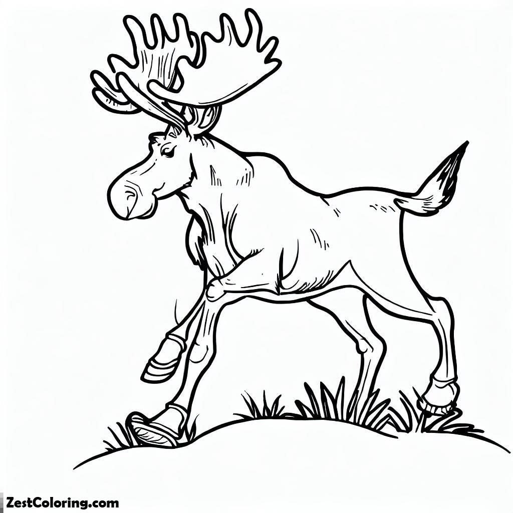 Moose, Moose Stepping On Grass Coloring Page: Moose Stepping On Grass Coloring PageFull Size Image