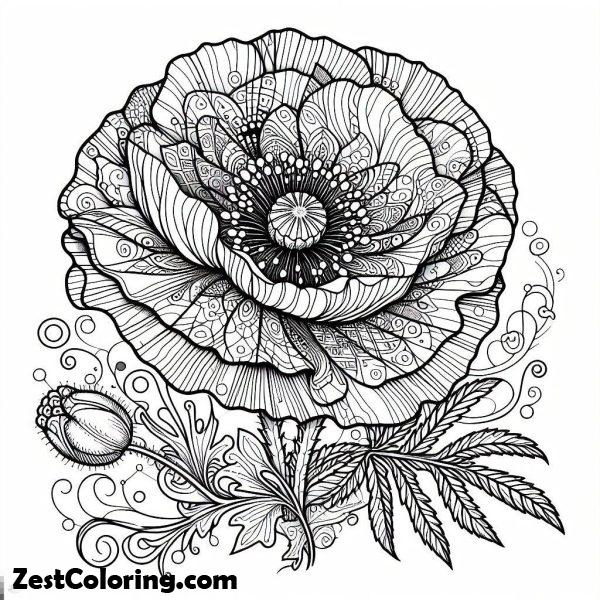 Beautiful Poppy Flower Picture Coloring Page : Coloring for Kids