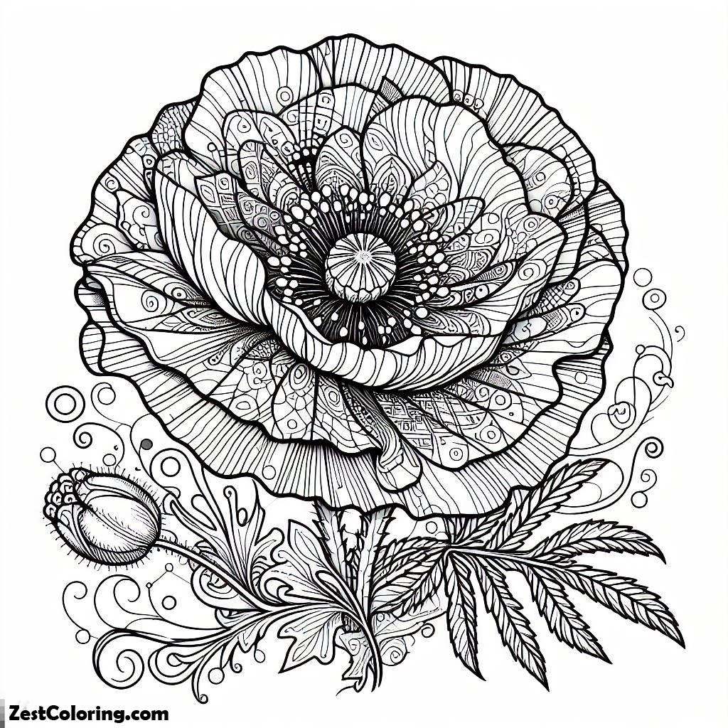 Poppy Flower, Beautiful Poppy Flower Picture Coloring Page: Beautiful Poppy Flower Picture Coloring PageFull Size Image
