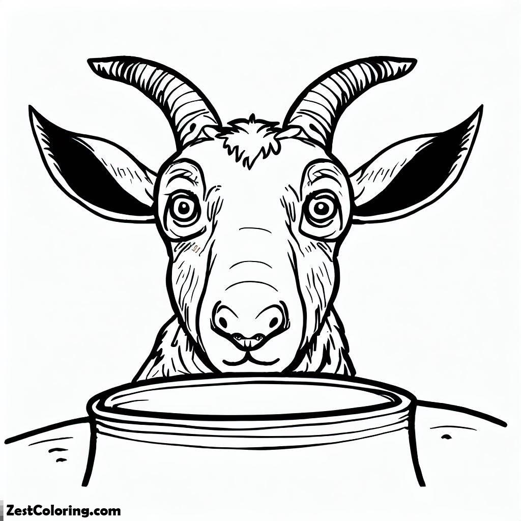 Goat, Goat Staring At A Bowl Coloring Pages: Goat Staring At A Bowl Coloring PagesFull Size Image