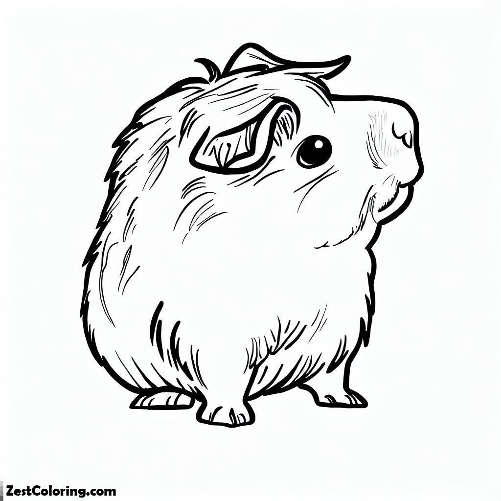 Guinea Pig, Guinea Pig Standing Coloring Page 2: Guinea Pig Standing Coloring Page 2Full Size Image