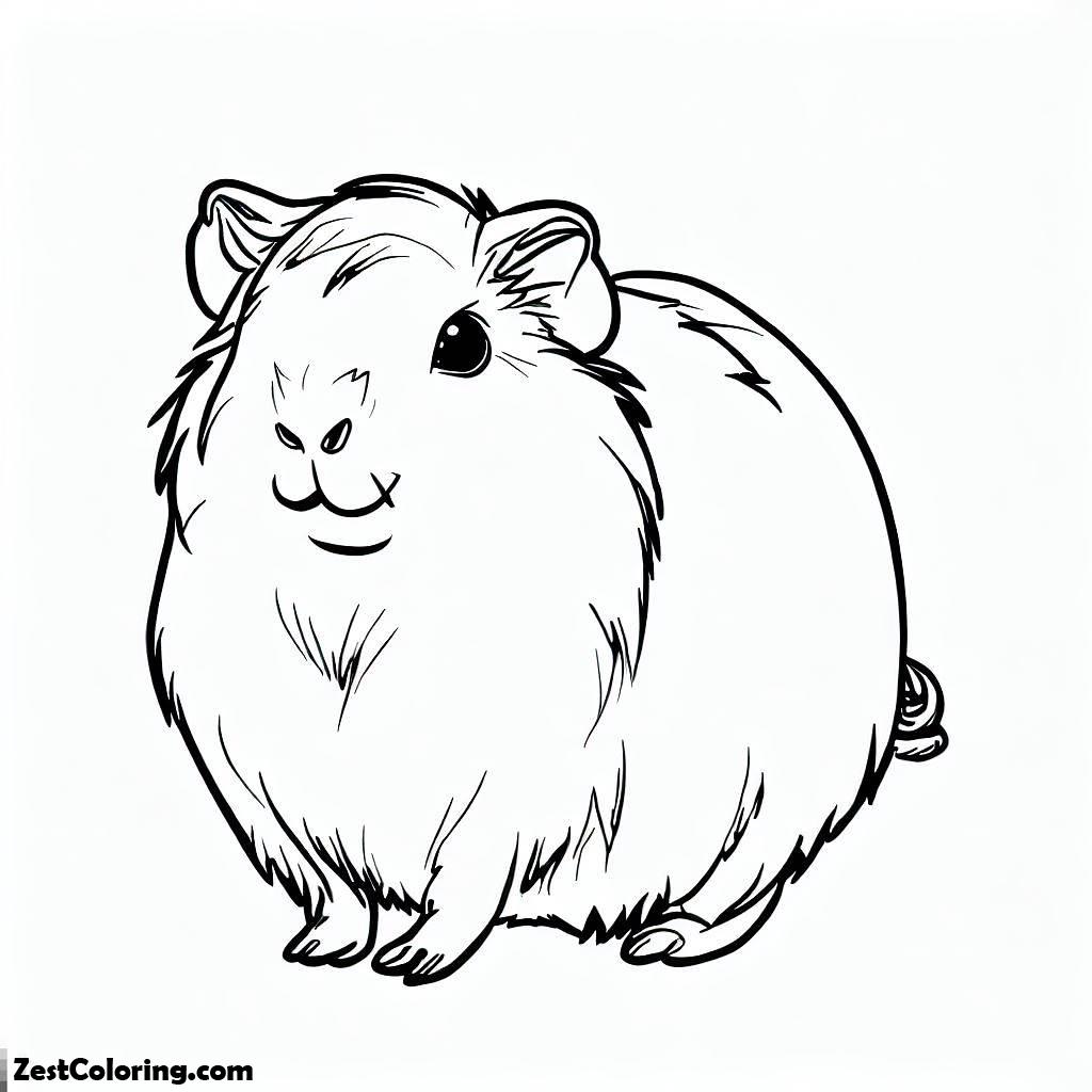 Guinea Pig, Guinea Pig Standing Coloring Page: Guinea Pig Standing Coloring PageFull Size Image