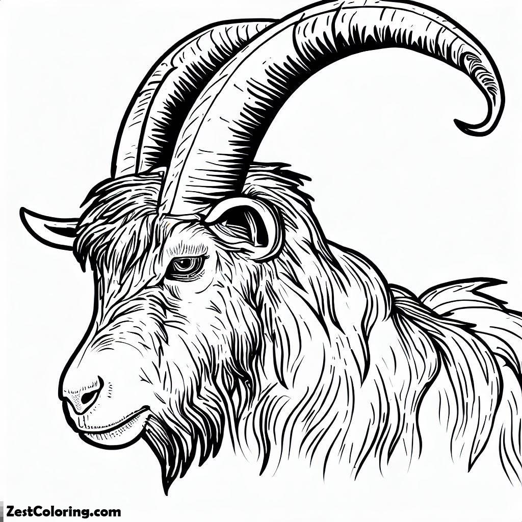 Goat, Long Horned Goat Coloring Pages: Long Horned Goat Coloring PagesFull Size Image