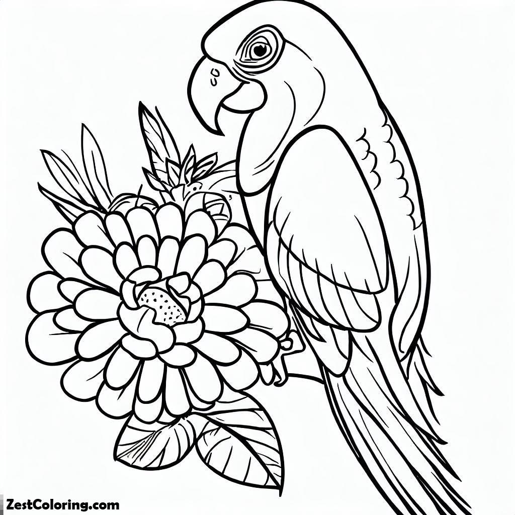 Parrot, Parrot And Big Flower Coloring Page: Parrot And Big Flower Coloring PageFull Size Image