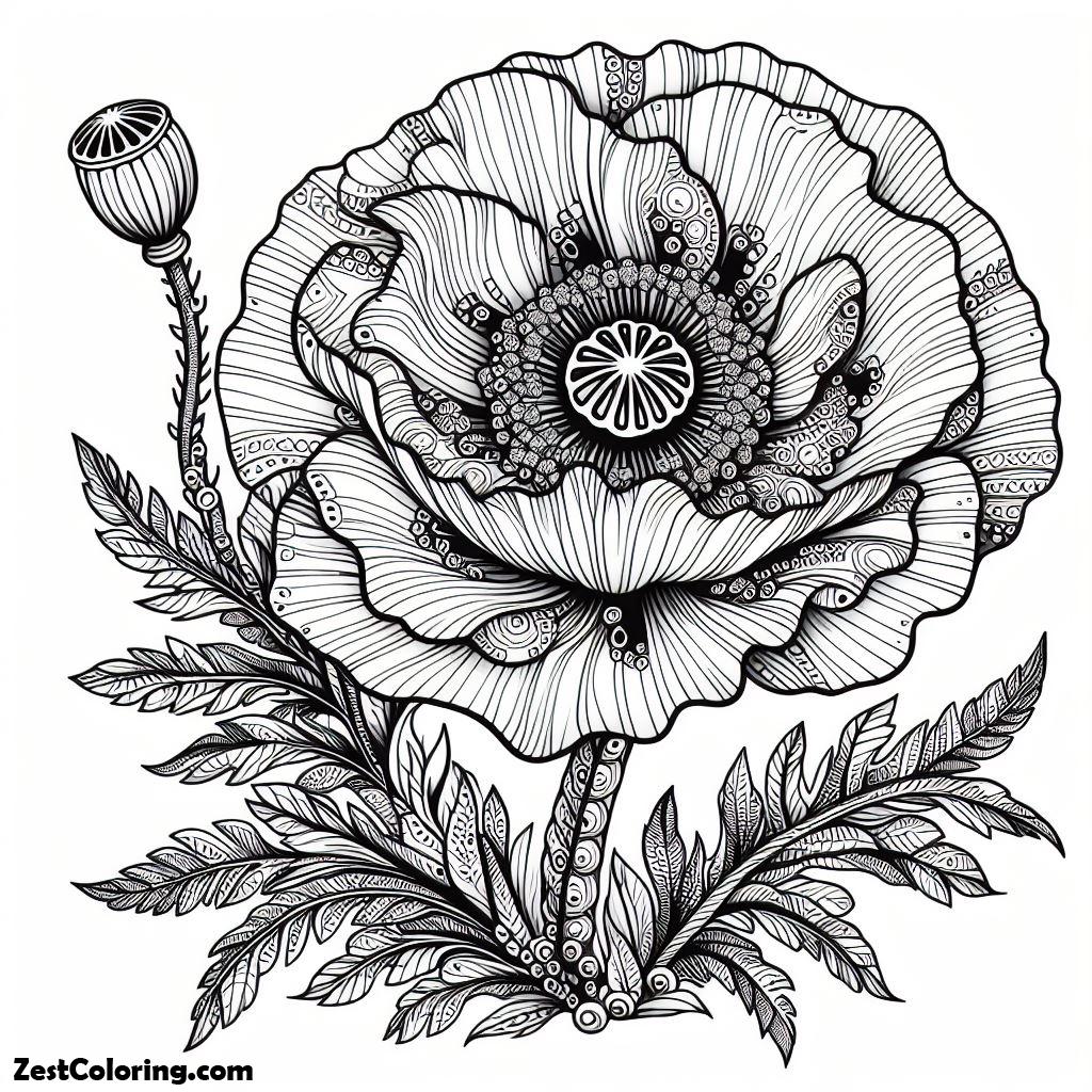 Poppy Flower Picture Coloring Page : Coloring for Kids – Smart