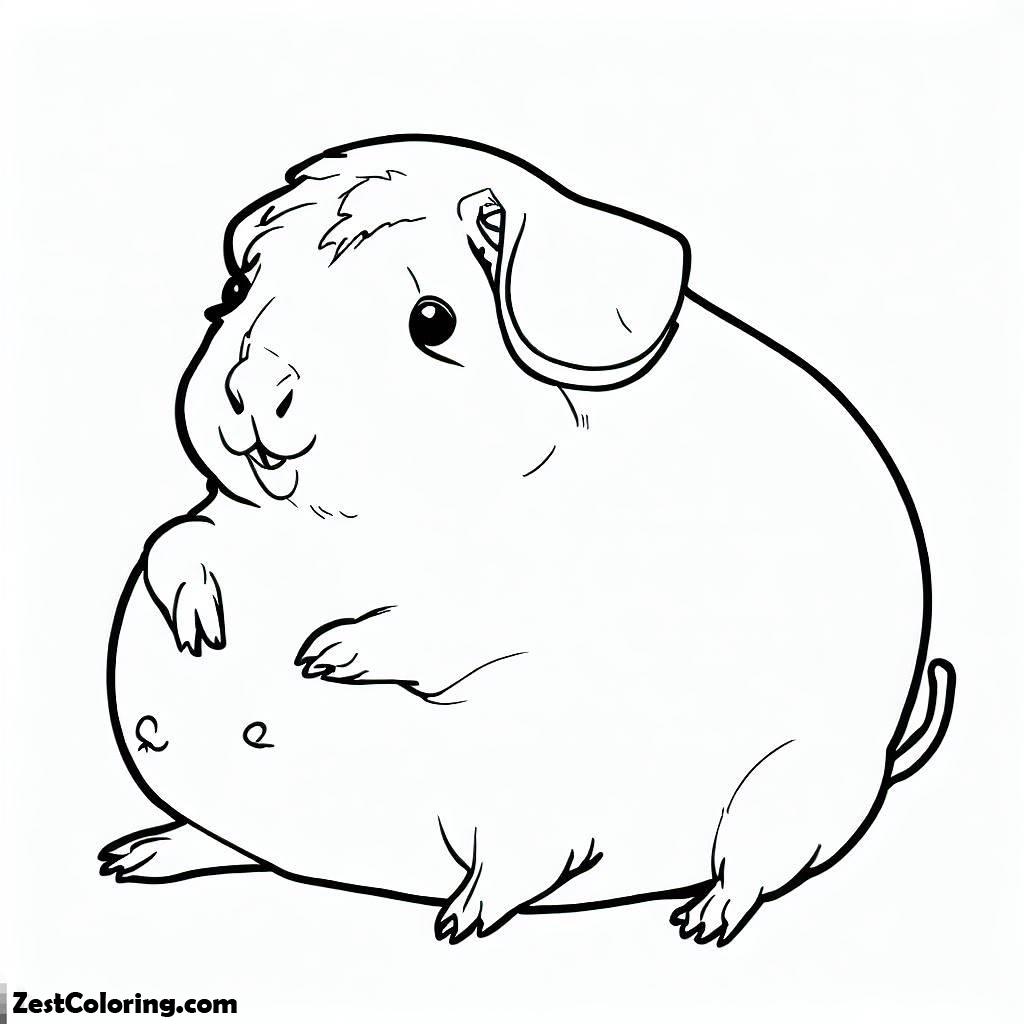 Guinea Pig, Pregnant Guinea Pig Coloring Page: Pregnant Guinea Pig Coloring PageFull Size Image