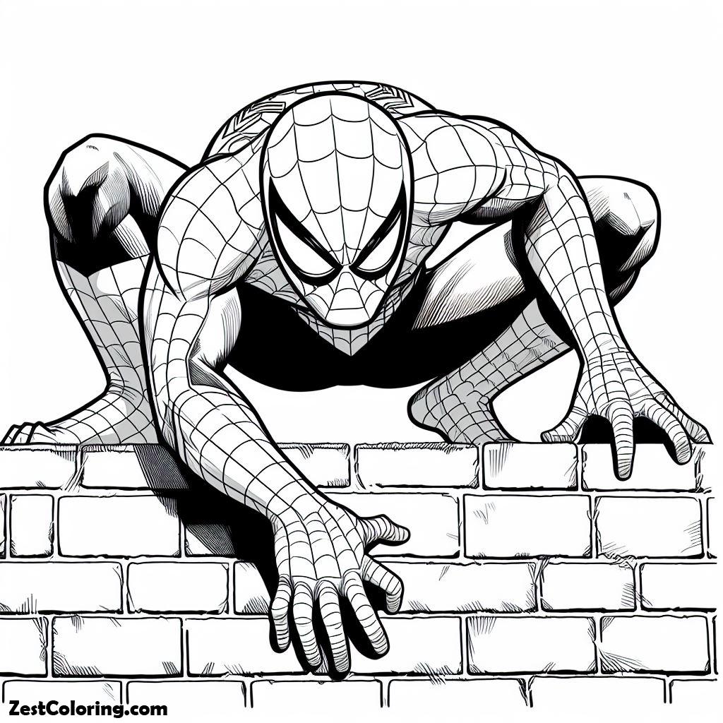 Spiderman, Spiderman Coloring Page For Kids: Spiderman Coloring Page For KidsFull Size Image
