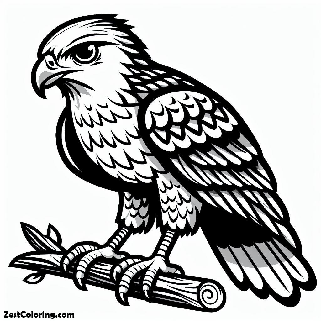 Bird, A Hawk Bird Coloring Page: A Hawk Bird Coloring PageFull Size Image