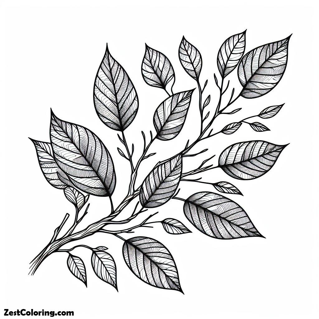 Autumn, Beautiful Autumn Leaf From Tree Branch Coloring Page: Beautiful Autumn Leaf From Tree Branch Coloring PageFull Size Image